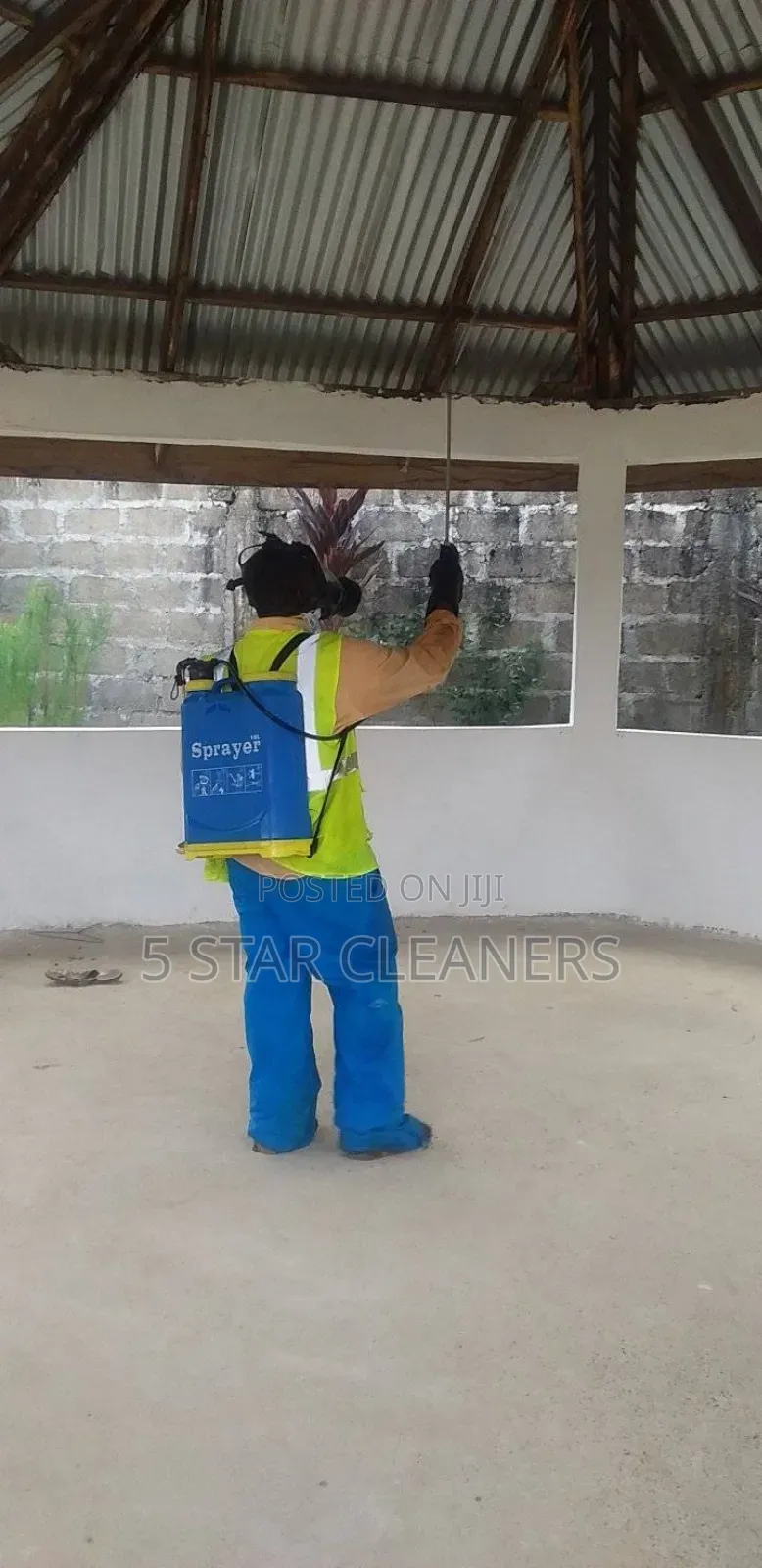Bedbugs Fumigation in Bedrooms and Sitting Room