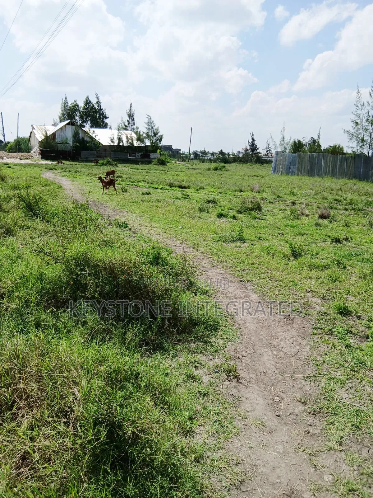 1/8 Acre Plot for Sale in Joska