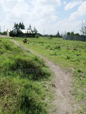 1/8 Acre Plot for Sale in Joska