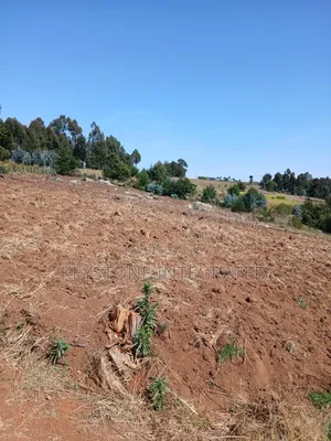 Plots for Sale in Nyandarua,Silanga