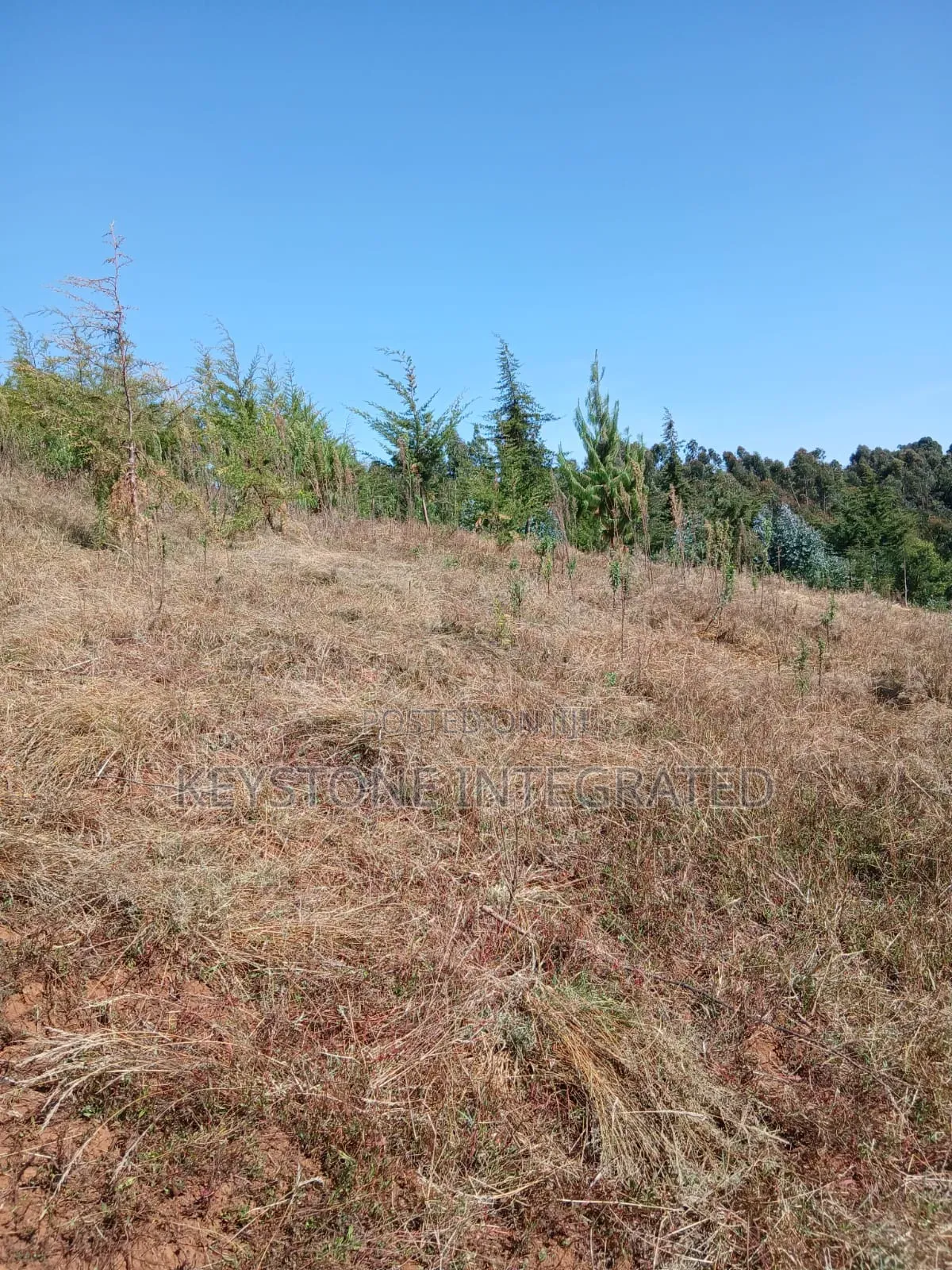 Plots for Sale in Nyandarua,Silanga