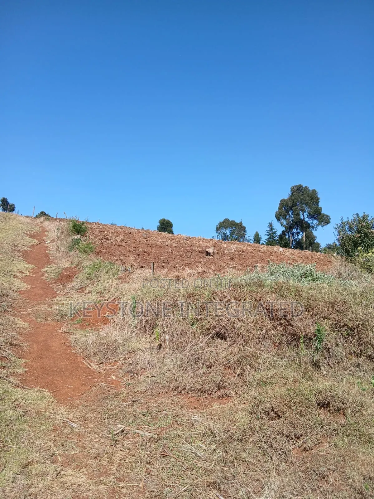 Plots for Sale in Nyandarua,Silanga