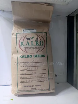 Kat B1 Yellow Beans Seeds 2kgs Kalro Seeds