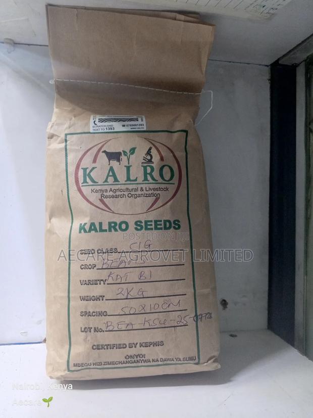 Kat B1 Yellow Beans Seeds 2kgs Kalro Seeds - thumbnail 2