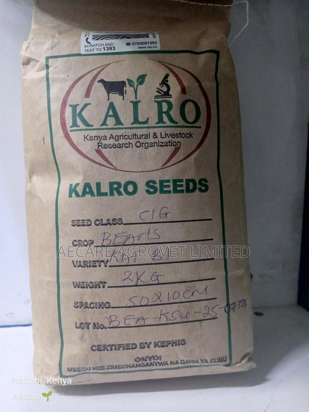 Kat B1 Yellow Beans Seeds 2kgs Kalro Seeds - thumbnail 3