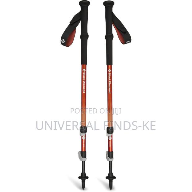 Durable Hiking Poles - main view