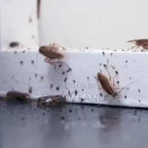 Fumigation Services/Exterminators