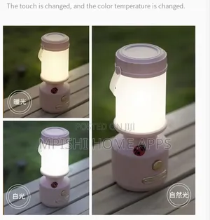 Rechargeable Ladybird Decorative Camping Lamp
