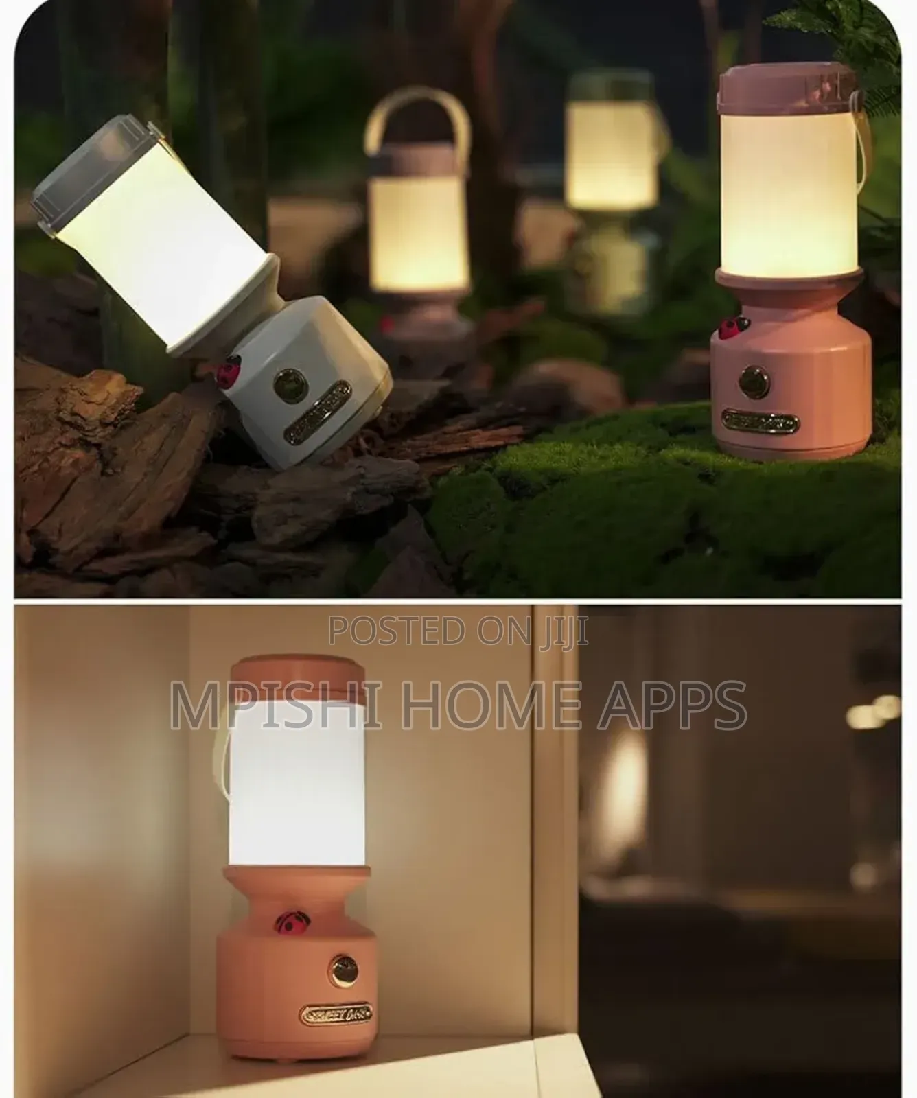 Rechargeable Ladybird Decorative Camping Lamp