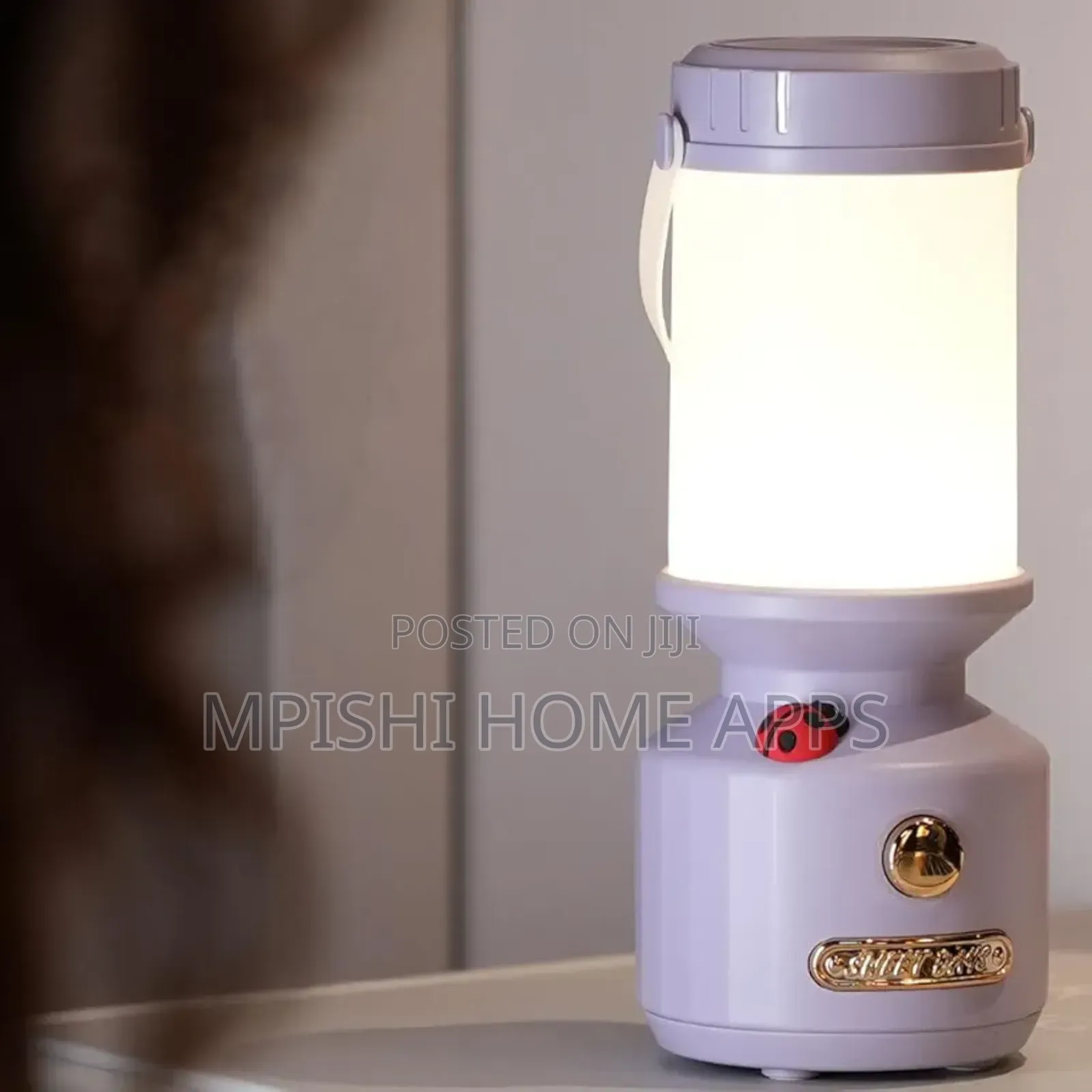 Rechargeable Ladybird Decorative Camping Lamp