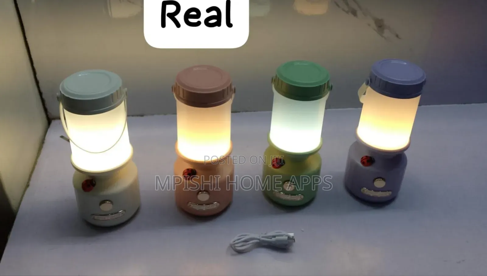 Rechargeable Ladybird Decorative Camping Lamp