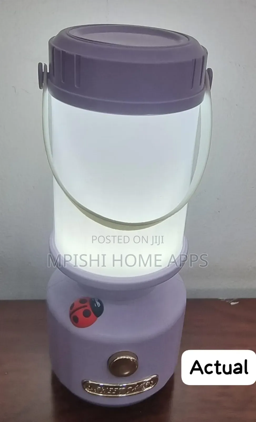 Rechargeable Ladybird Decorative Camping Lamp