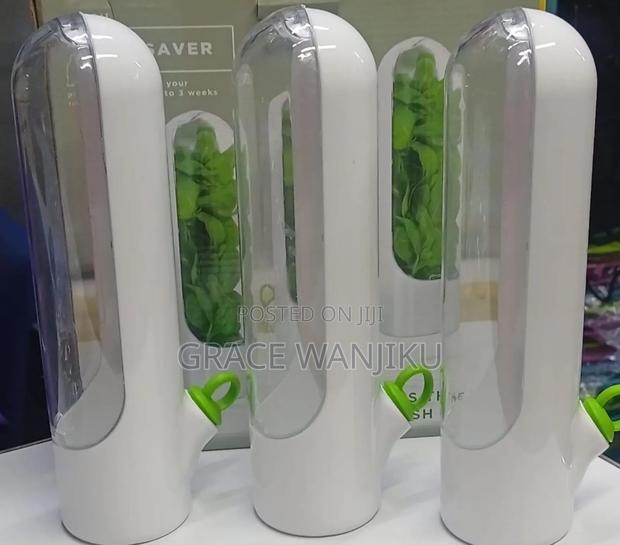 *Fresh Herbs Fridge Storage Container*