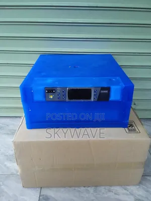 64 Eggs Incubator