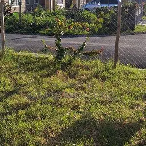 3bdrm Bungalow in Kamulu Heights, Malaa for sale