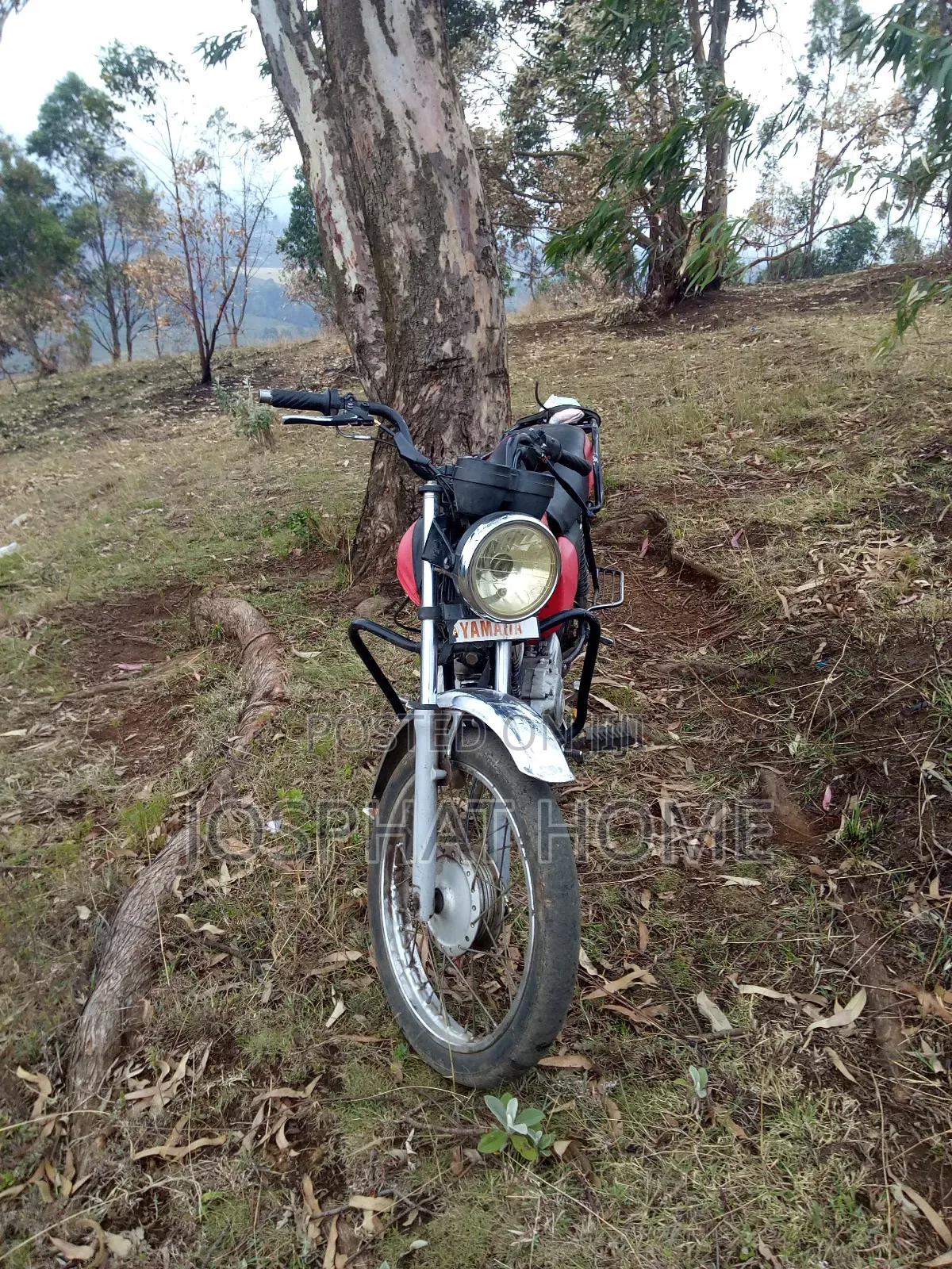 Yamaha Crux 2014 Beige