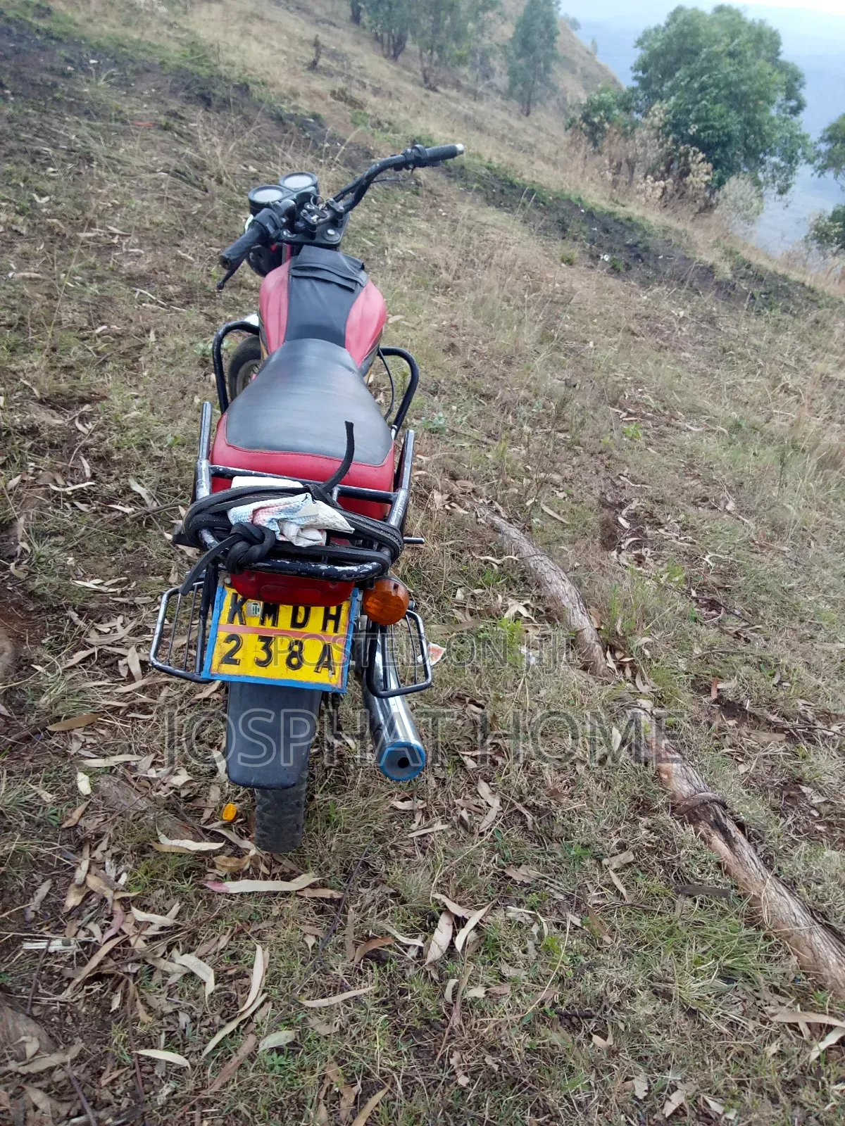 Yamaha Crux 2014 Beige