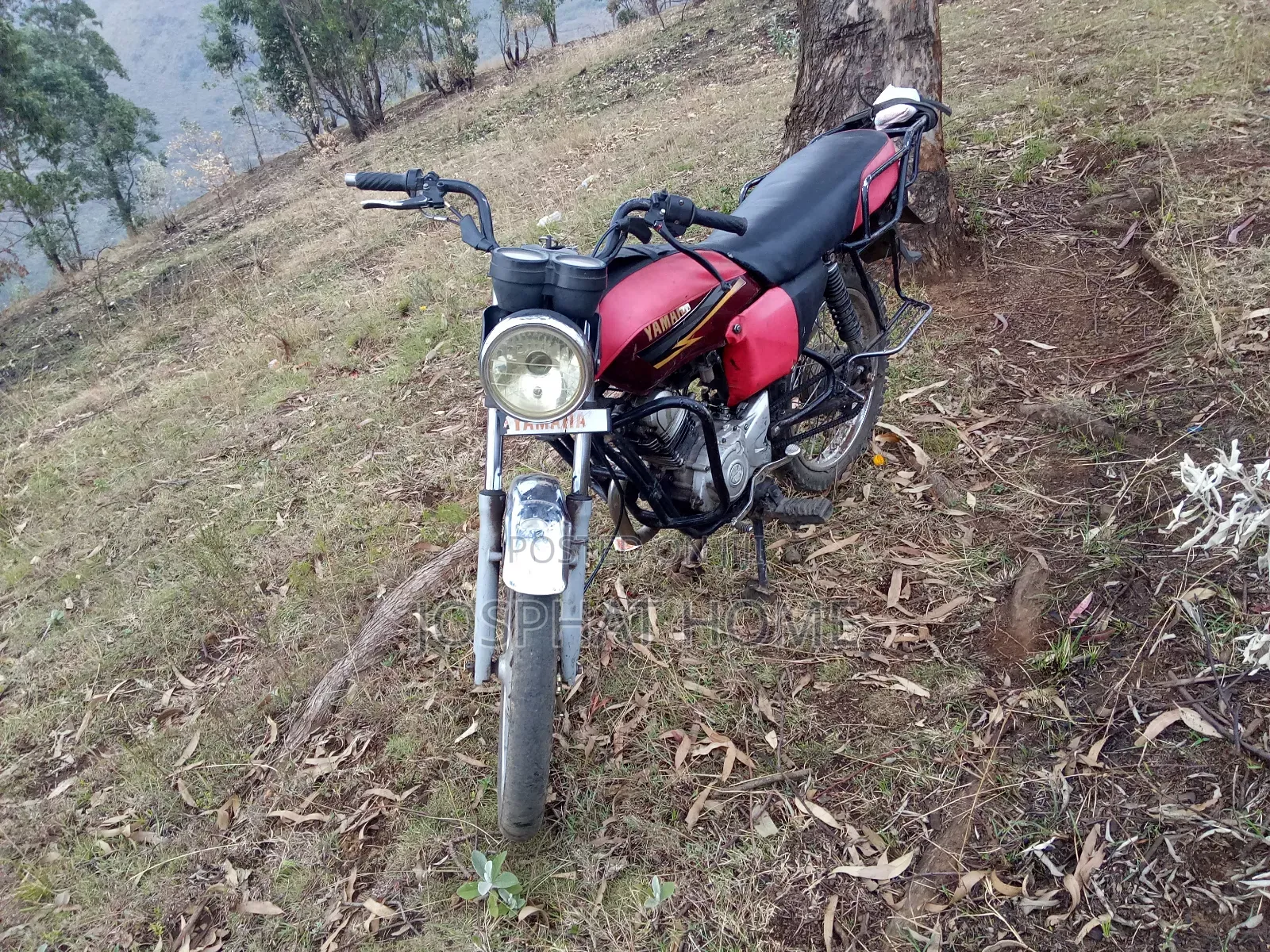 Yamaha Crux 2014 Beige