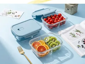 High Borosilicate Glass Partitioned Lunchbox.