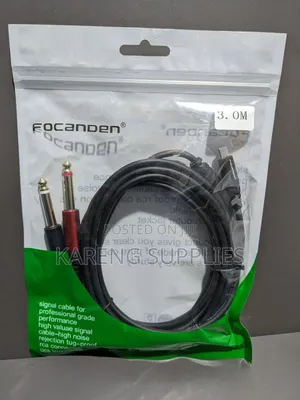 Usb C To Dual 6.35mm 1/4 Ts Mono Breakout Cable