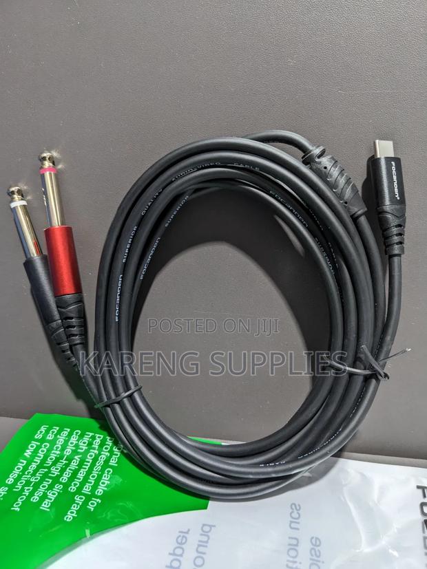 Usb C To Dual 6.35mm 1/4 Ts Mono Breakout Cable - main view