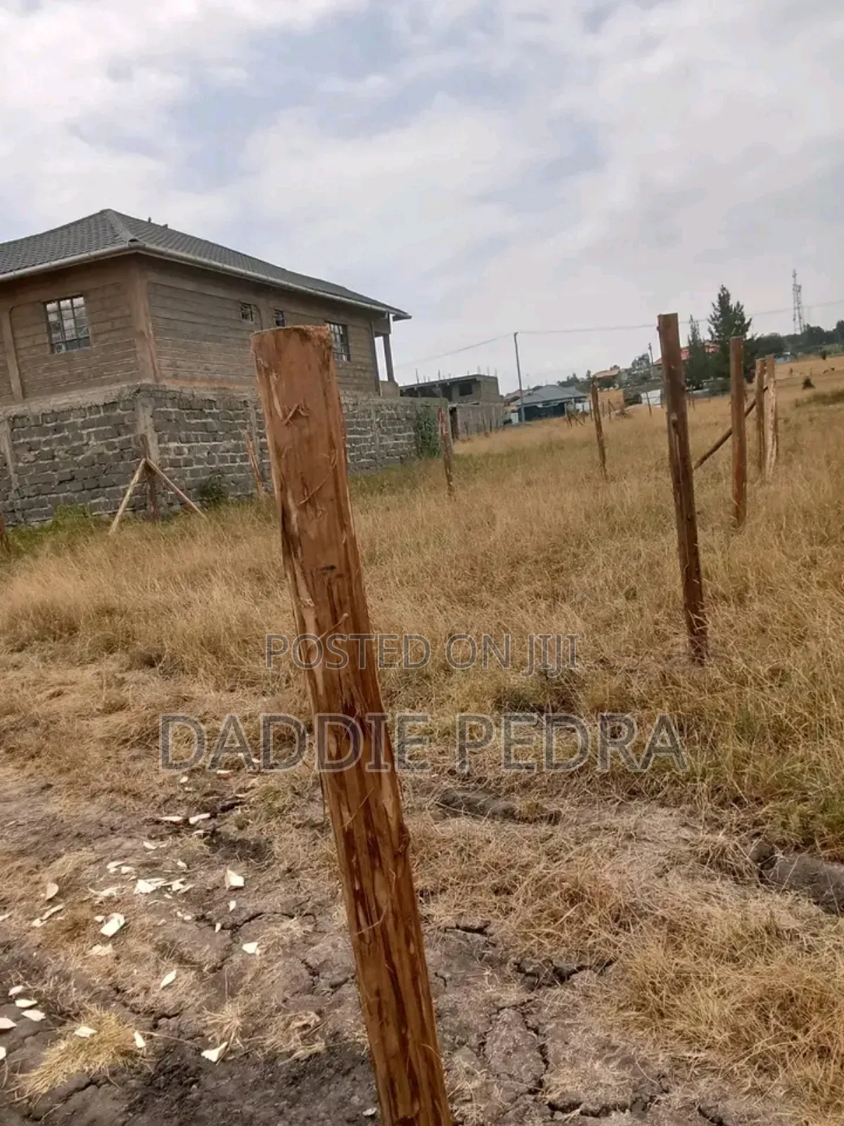 40by60 Plot