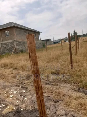 40by60 Plot