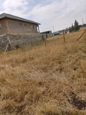 40by60 Plot