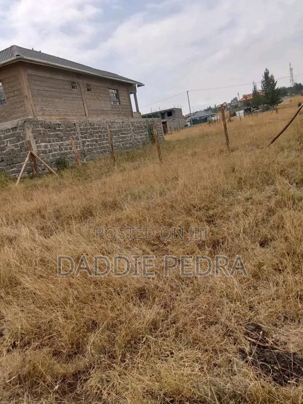 40by60 Plot - thumbnail 3