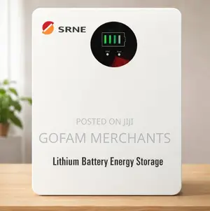 Srne 2.56kwh Lithium Battery 25.6v 100ah, Eos02b