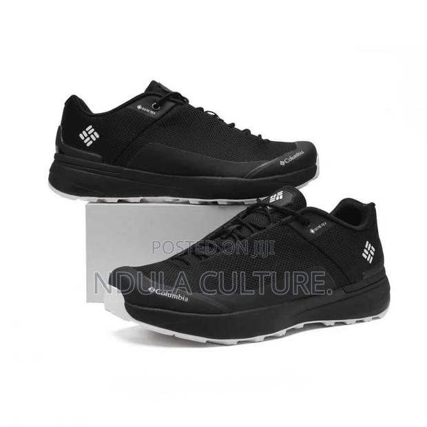 Coll Shoes Shoes