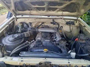 Toyota Land Cruiser 79 Series 2010 Brown