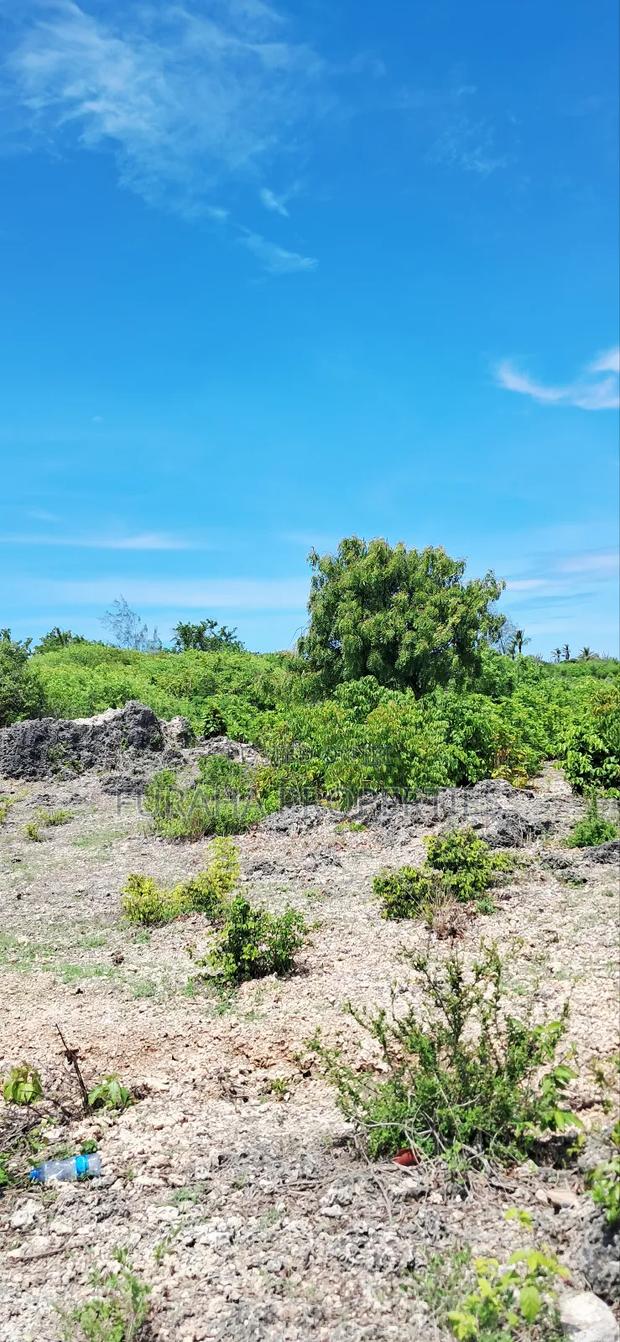 For Sale Quater Acre Plots Watamu - main view