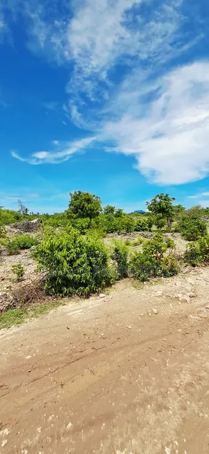 For Sale Quater Acre Plots Watamu