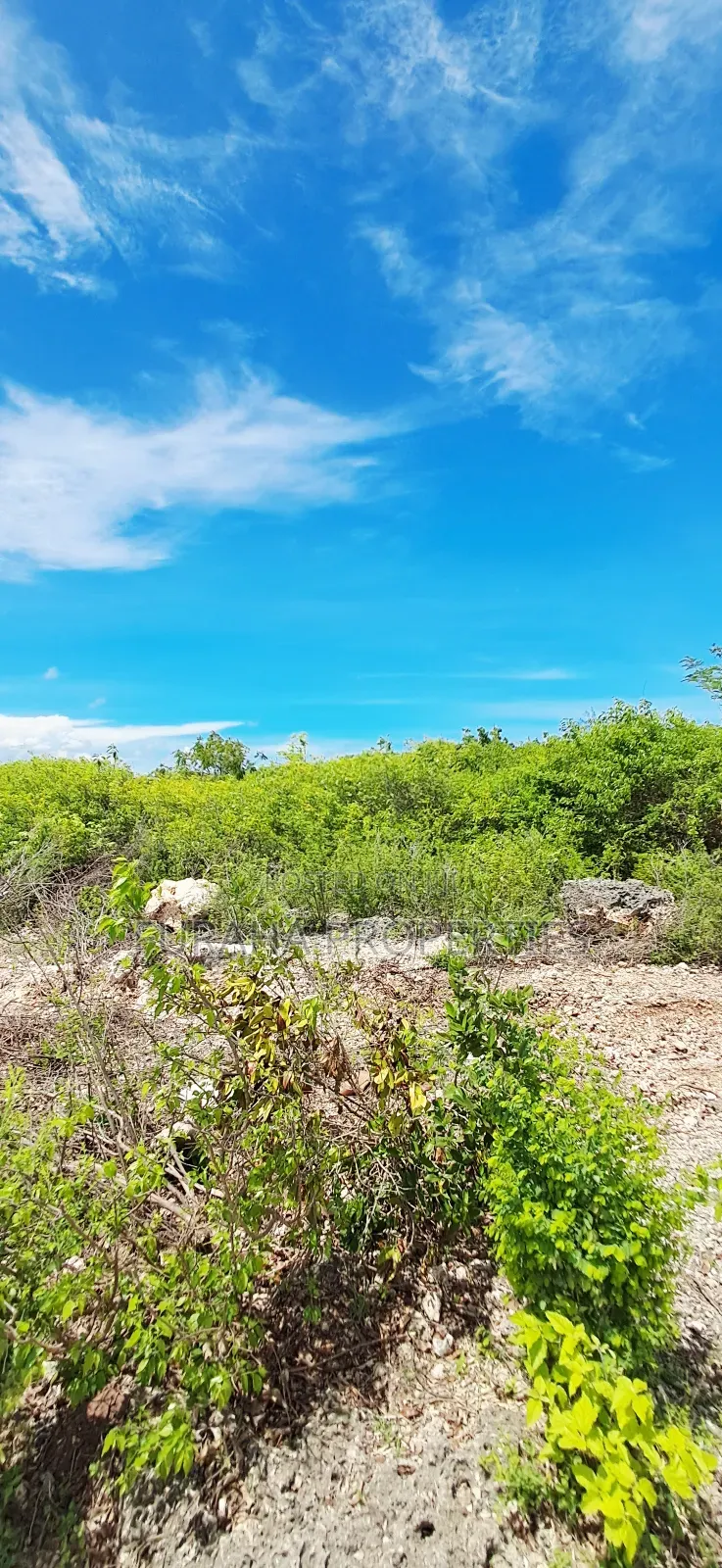 For Sale Quater Acre Plots Watamu