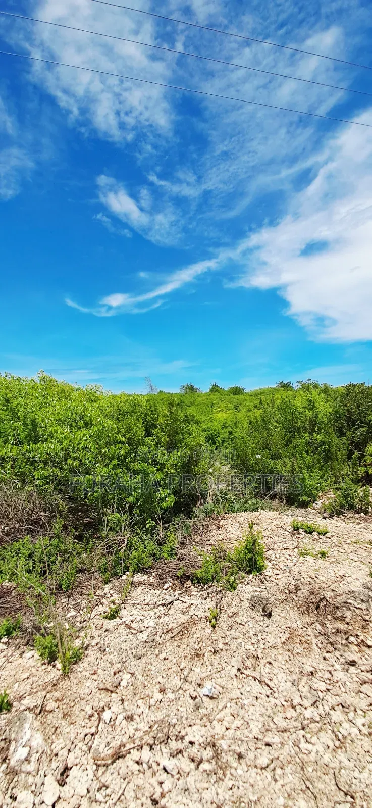 For Sale Quater Acre Plots Watamu