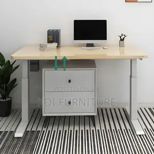 Office Desk; Ergonomic Design 120cm Adjustable Desk