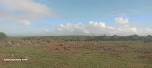 1 Acre of Land for Sale.