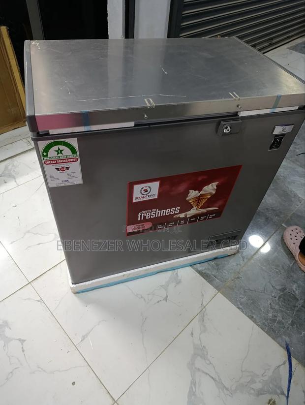 169litres Deep Freezer - thumbnail 4