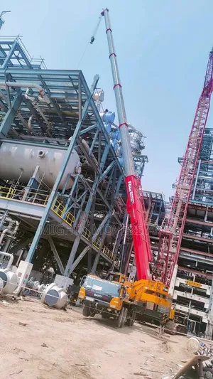 30t to 50t Cranes for Industrial Jobs Are Available