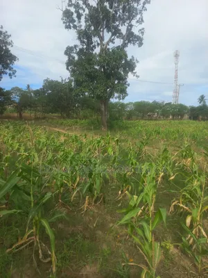 Plot for Sale in Rabai