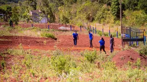 Shamba and Plots