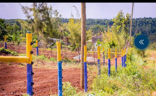 Shamba and Plots - thumbnail 2