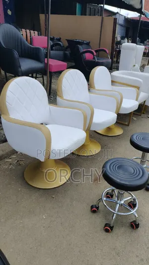 White Gold Salon Styling Seats/ Salon Chairs