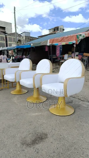 White Gold Salon Styling Seats/ Salon Chairs