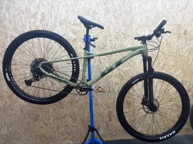 Gt Mountain Bike