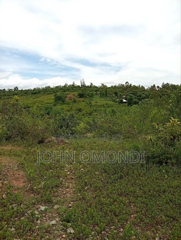 Land for Sale - thumbnail 6