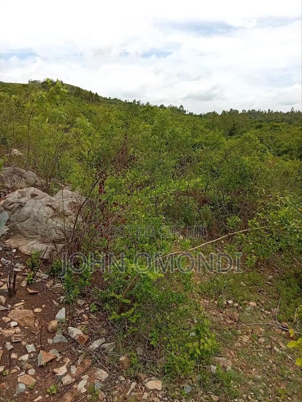 Land for Sale - thumbnail 7