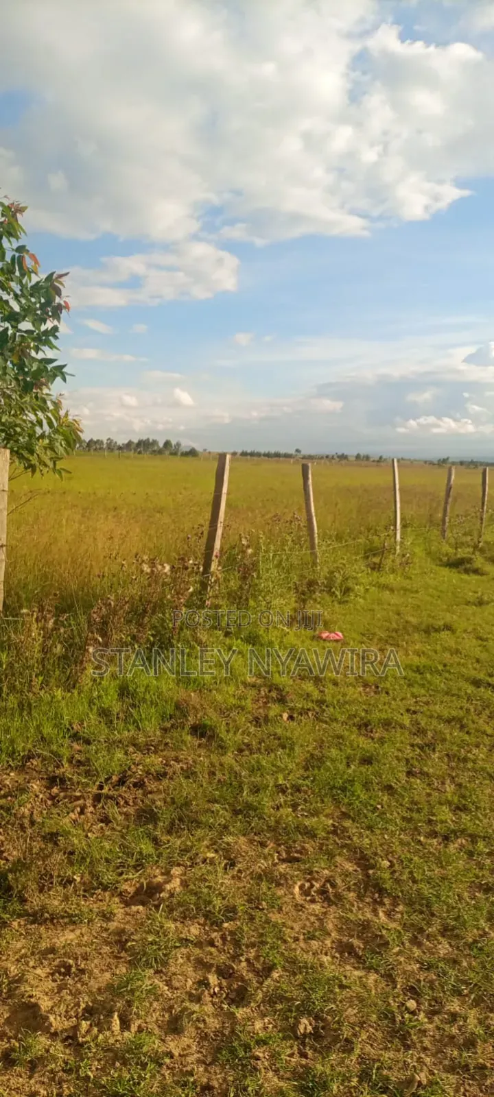 4 Acreas Narumoro Nanyuki