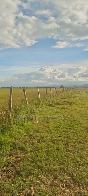 4 Acreas Narumoro Nanyuki